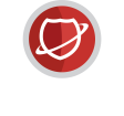 cat-adultos-3