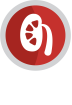cat-adultos-5
