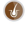 icono-1-adulto-razas-medianas-y-grandes