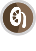 tracto-urinario